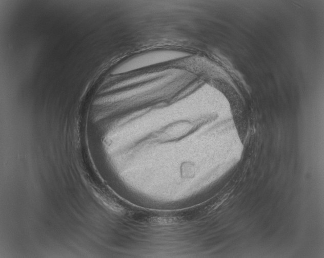 X0000082950250200702222321