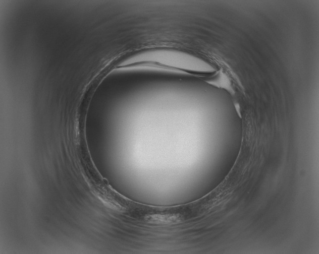 X0000082950251200702222321