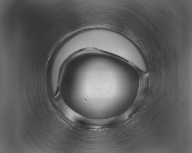 X0000082950252200702222321