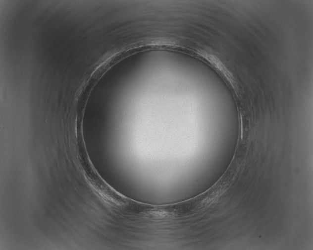 X0000082950253200702222321