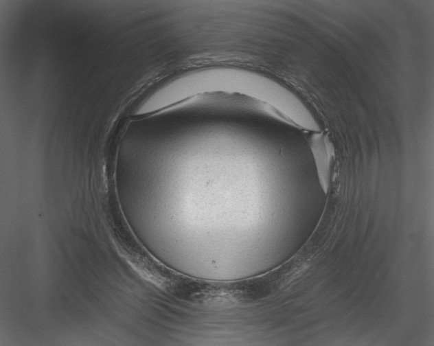 X0000082950254200702222321