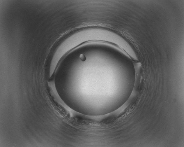 X0000082950256200702222321