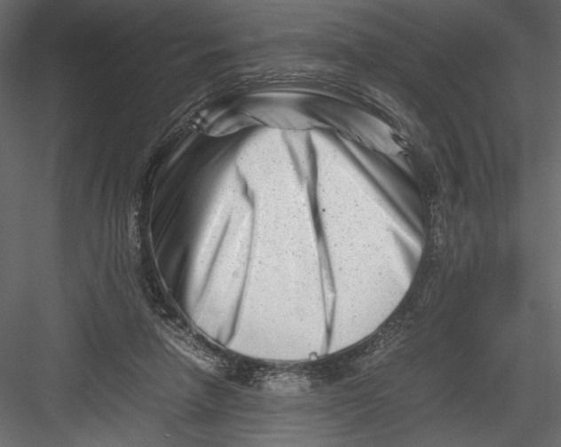 X0000082950258200702222321