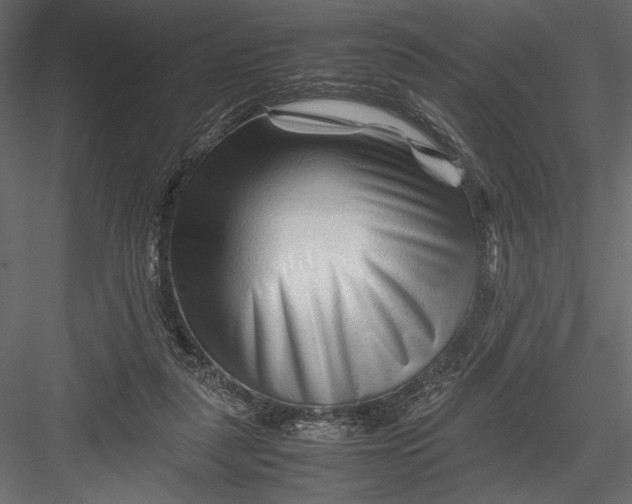 X0000082950259200702222321