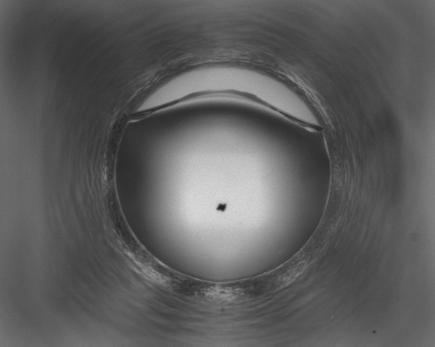 X0000082950261200702222321