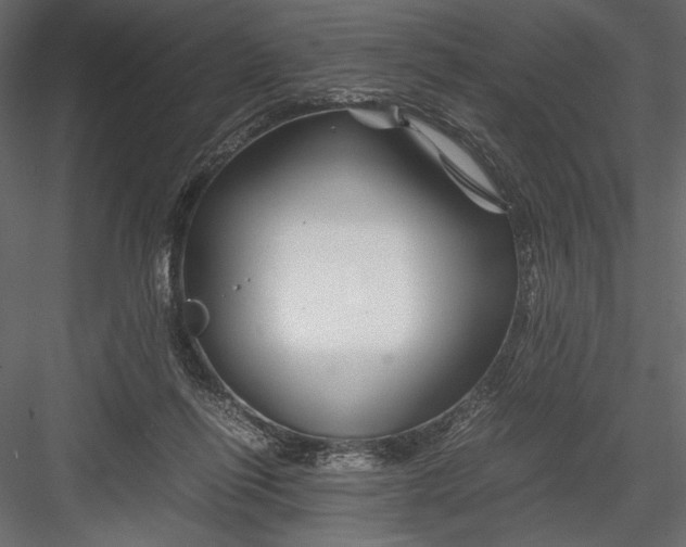 X0000082950262200702222321