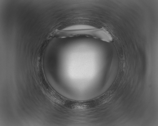 X0000082950263200702222321