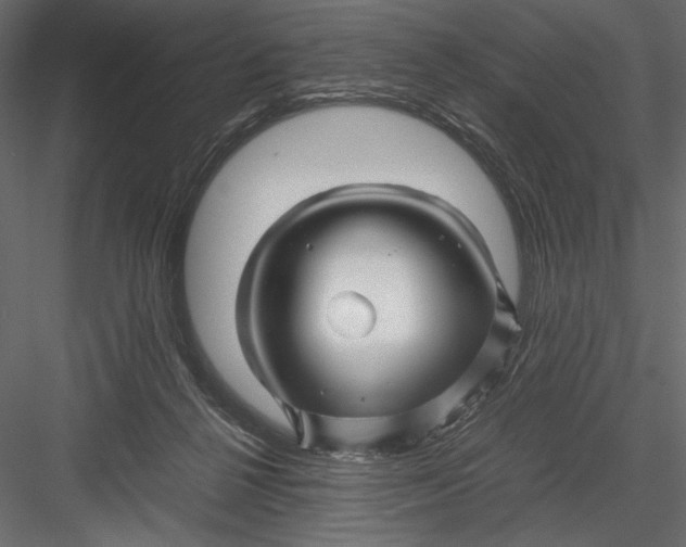 X0000082950264200702222321