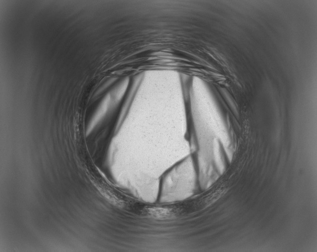 X0000082950265200702222321