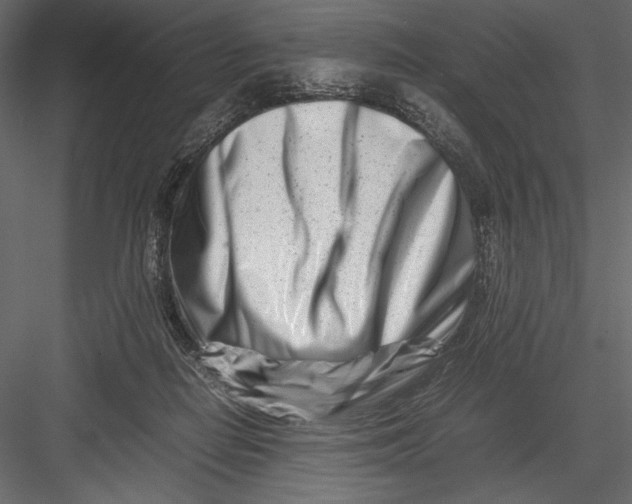 X0000082950266200702222321