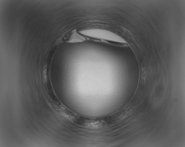 X0000082950267200702222321