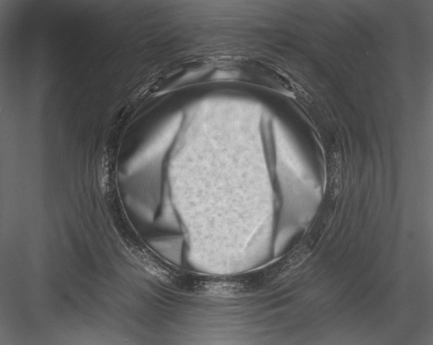 X0000082950268200702222321