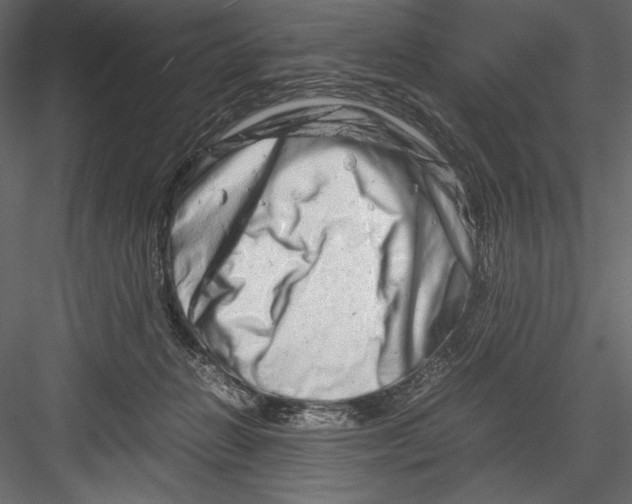 X0000082950270200702222321