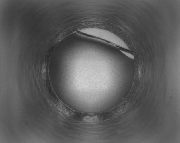 X0000082950271200702222321