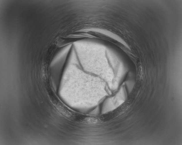 X0000082950272200702222321