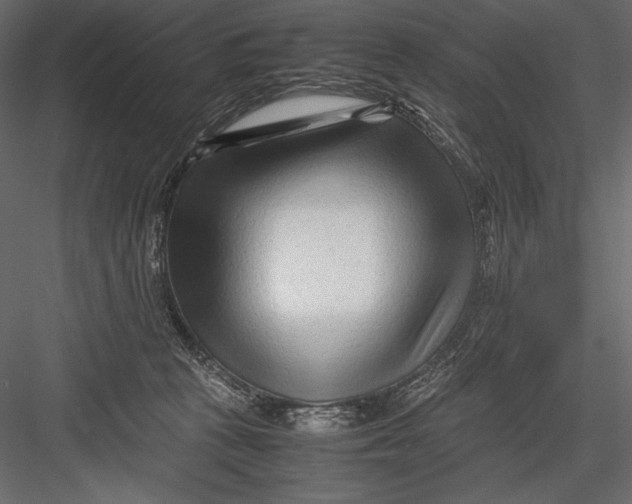 X0000082950273200702222321