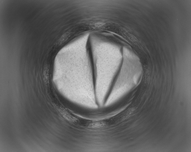 X0000082950274200702222321