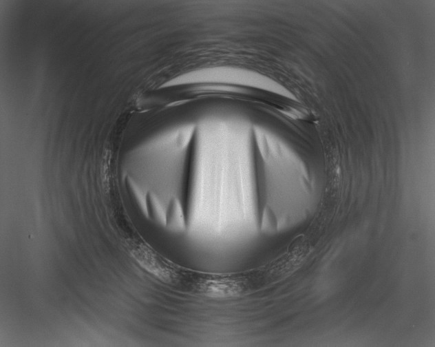 X0000082950275200702222321