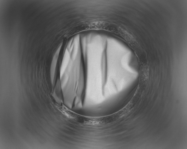 X0000082950276200702222321