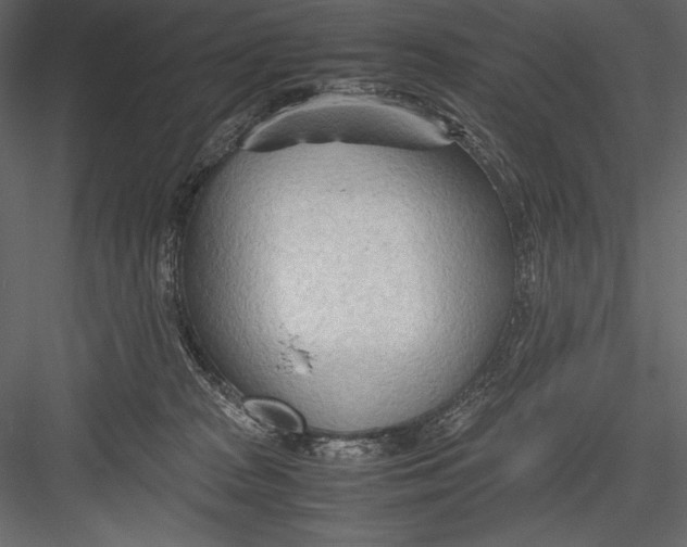 X0000082950277200702222321