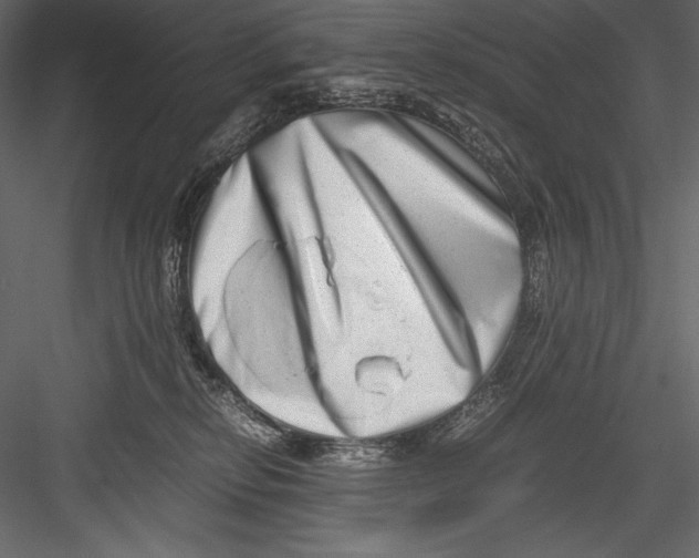 X0000082950278200702222321