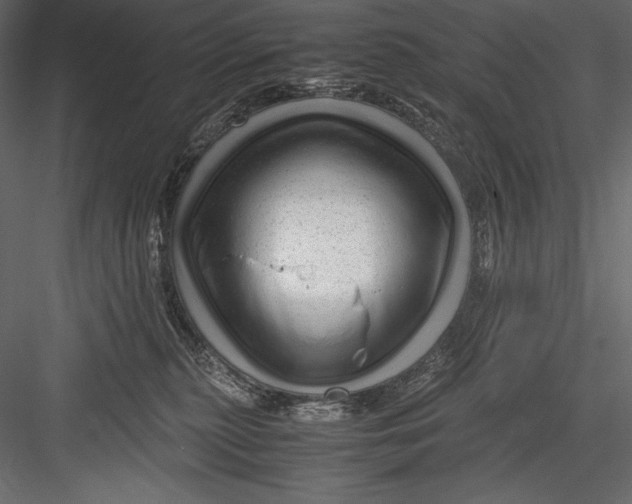 X0000082950279200702222321