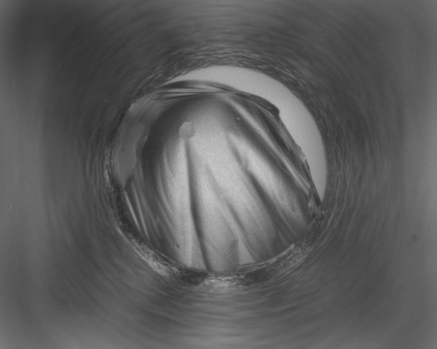 X0000082950280200702222321