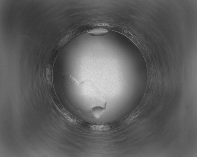 X0000082950281200702222321