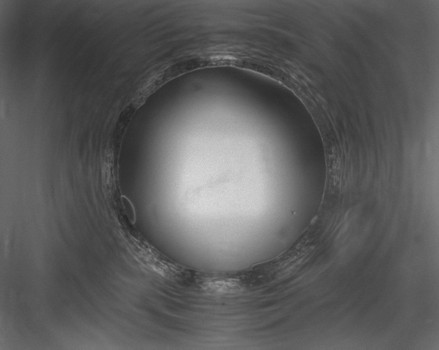 X0000082950283200702222321