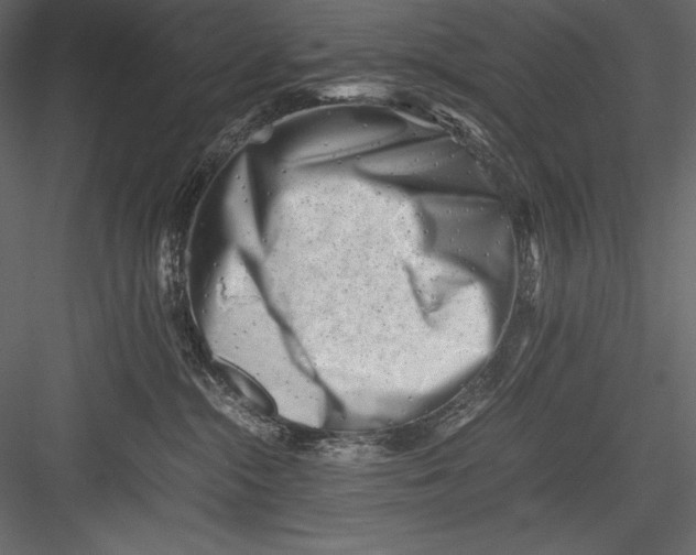 X0000082950284200702222321