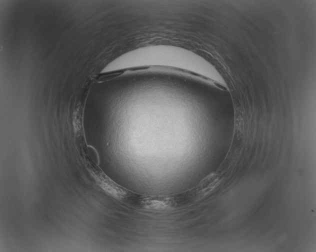 X0000082950285200702222321