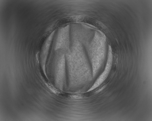 X0000082950286200702222321