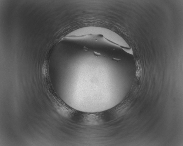 X0000082950287200702222321