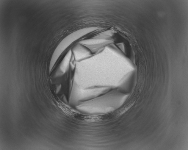 X0000082950288200702222321