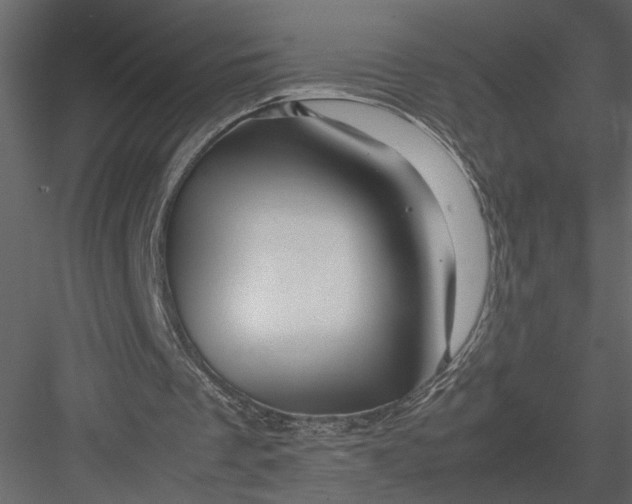 X0000082950289200702222321