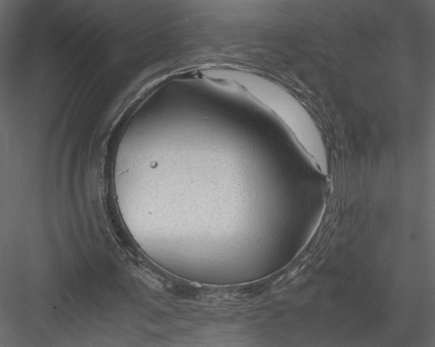 X0000082950291200702222321