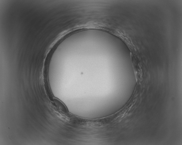 X0000082950292200702222321