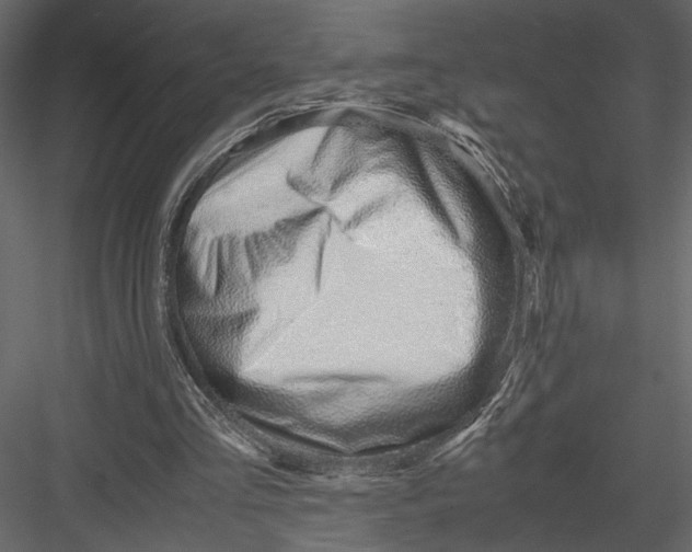 X0000082950293200702222321