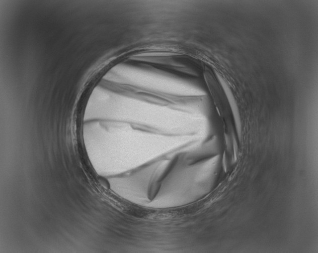 X0000082950294200702222321