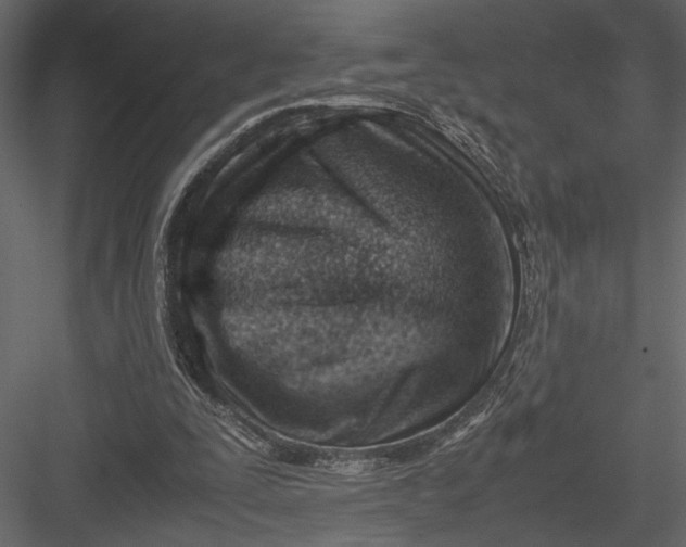 X0000082950295200702222321