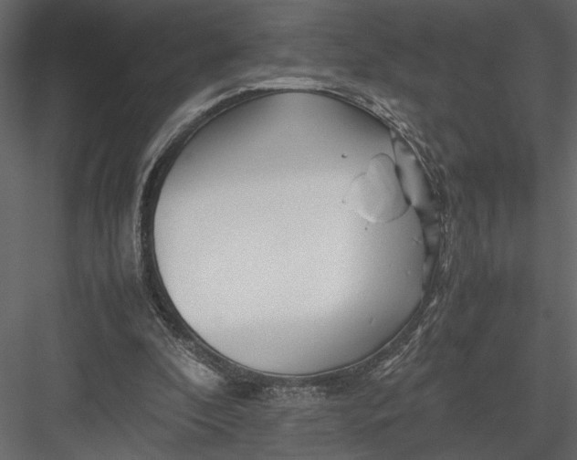 X0000082950296200702222321