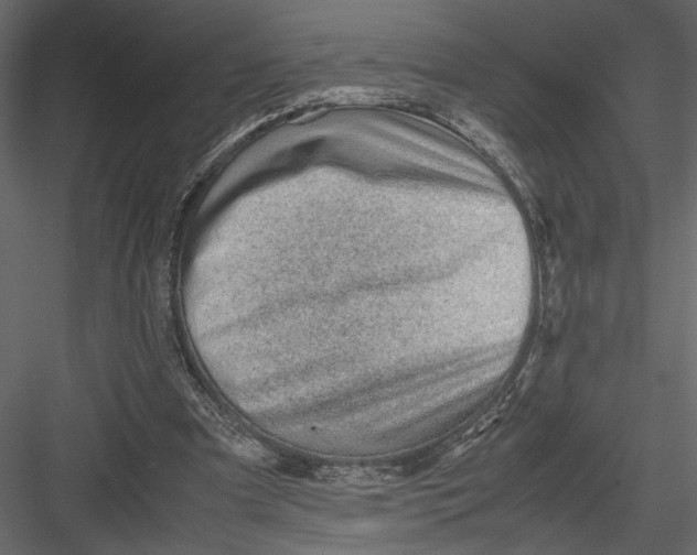 X0000082950297200702222321