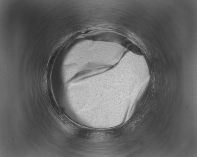 X0000082950298200702222320