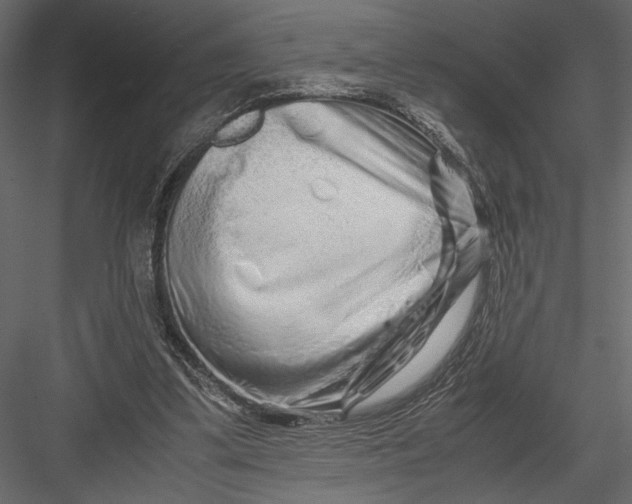 X0000082950299200702222320