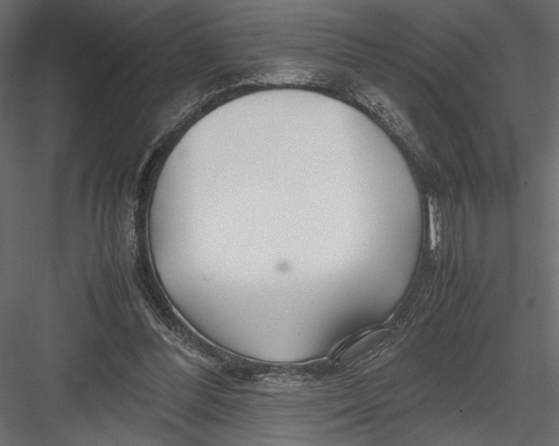 X0000082950300200702222320