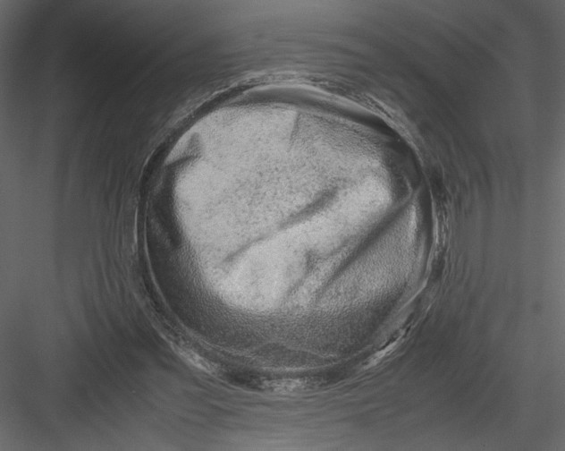 X0000082950301200702222320