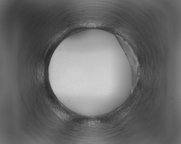 X0000082950304200702222320