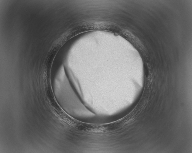 X0000082950306200702222320