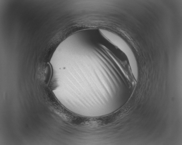 X0000082950307200702222320