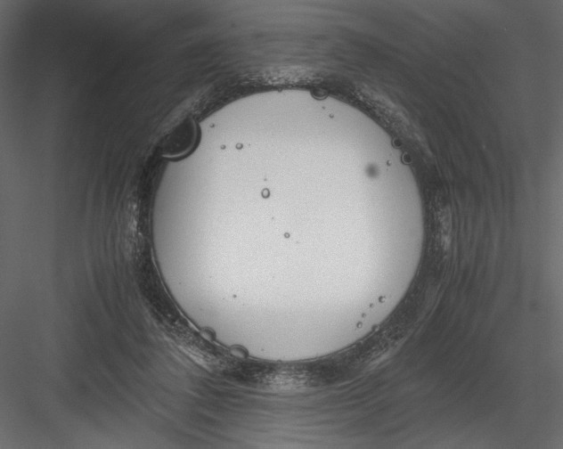 X0000082950308200702222320